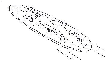 Avião-ilha