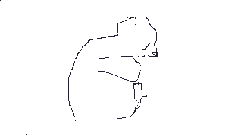 viagem e urso pardo