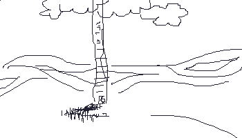 the elevator